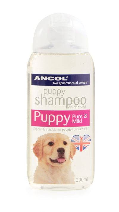 Pup Shampoo