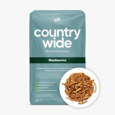 Countrywide Dried Mealworms 12.55kg