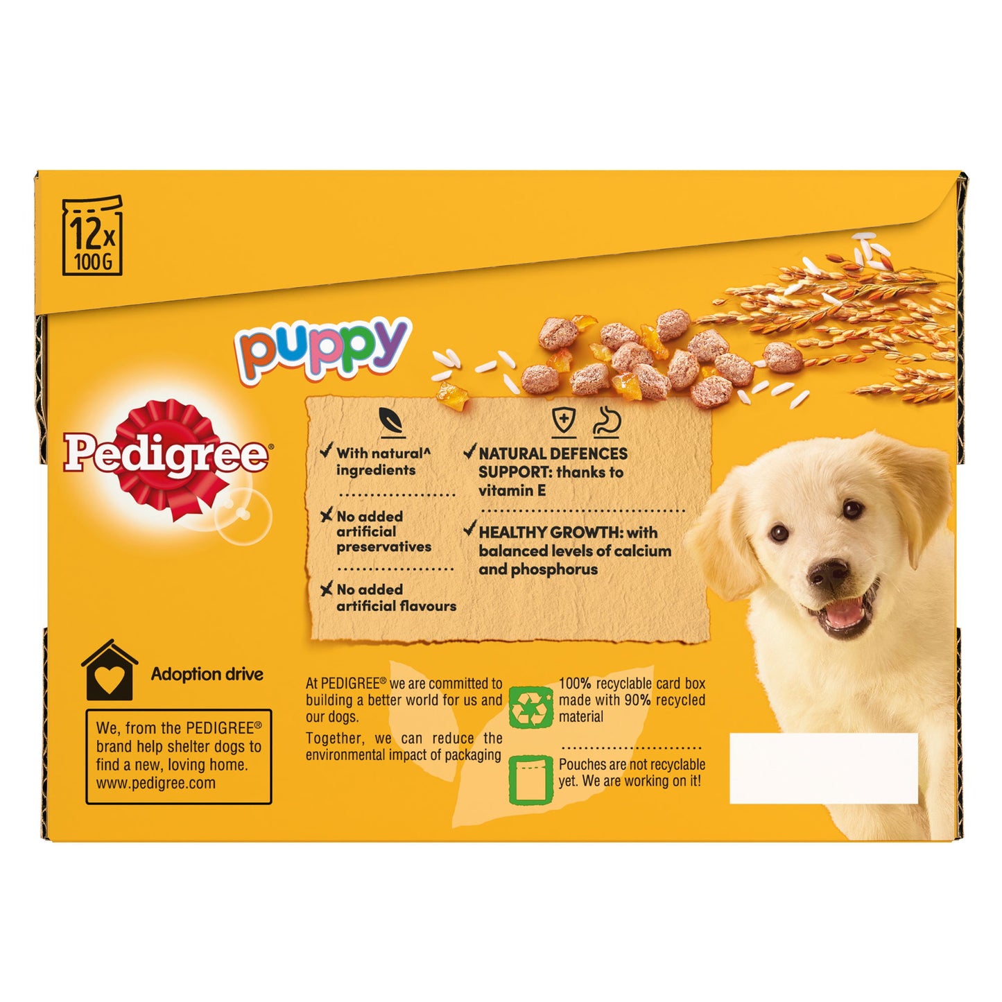 PEDIGREE Puppy Wet Dog Food Pouch Mixed in Jelly 12 x 100g