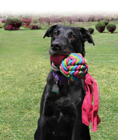 KONG Wubba Weave Assorted Small