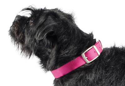 Viva Nylon Buckle Collar Pink 15mm X28-36cm Sz3