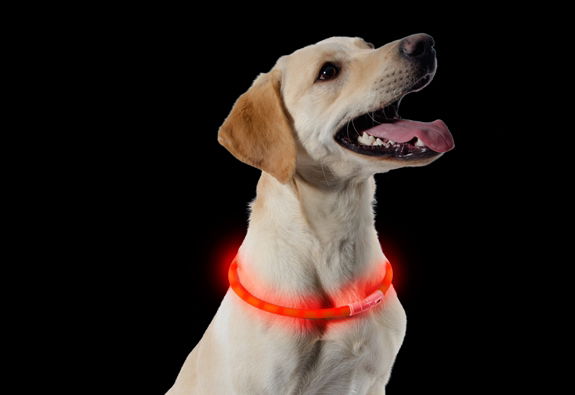 Usb Rechargeable Night Time Safety Halo 70cm
