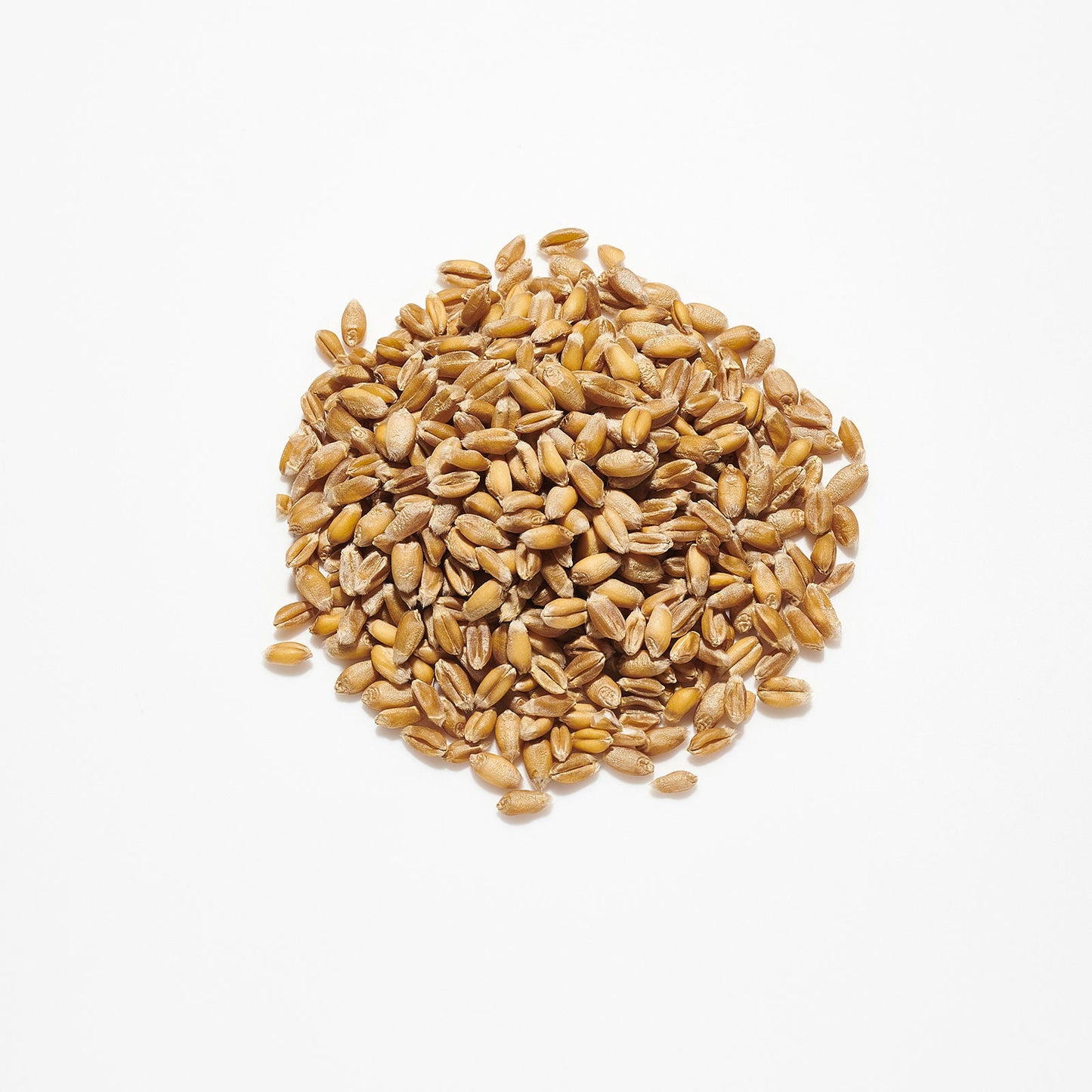 Countrywide Pigeon Wheat 20kg