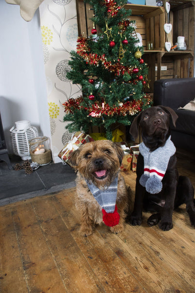 Festive Collection Scarf Marl Knit Med