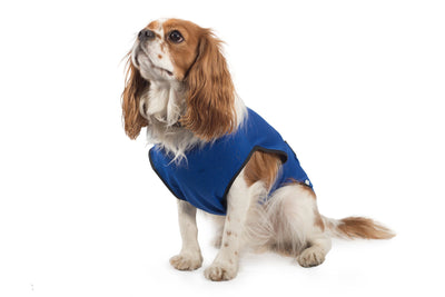 Dog Cooling Vest Large