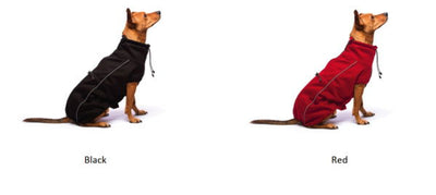 Dog Gone Smart Olympia Soft Shell Coat Black 10"