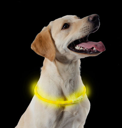 Usb Rechargeable Night Time Safety Halo Yellow 70cm