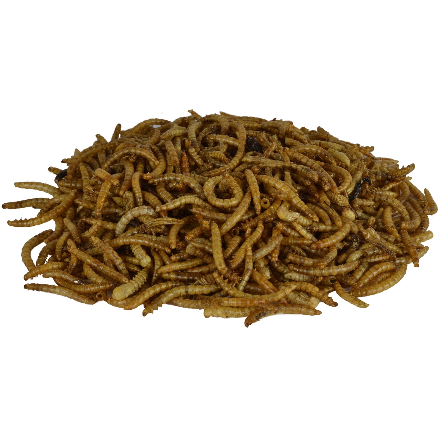 Supa Dried Mealworms 3ltr