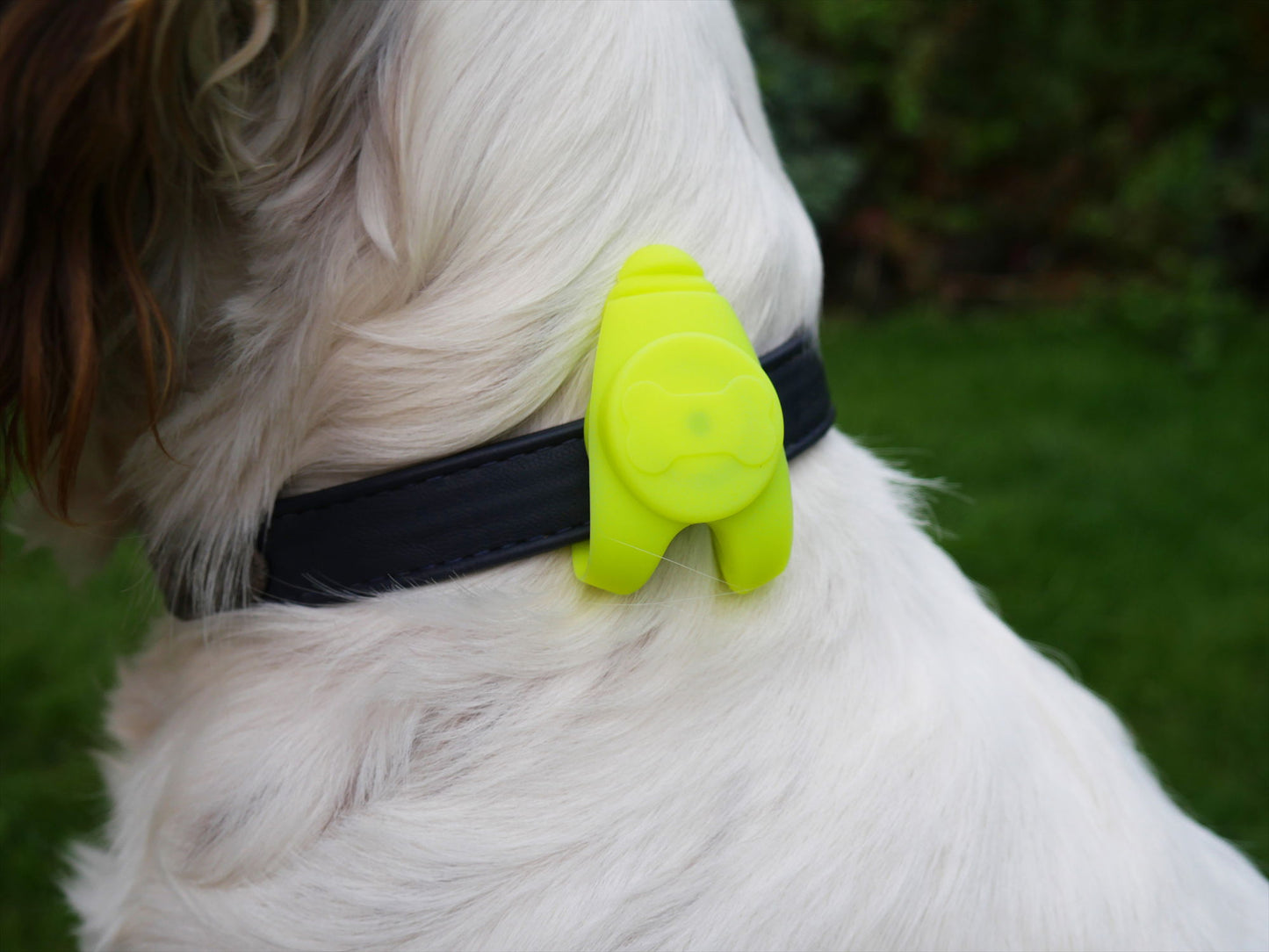 Silicon Collar Light Small 8cm