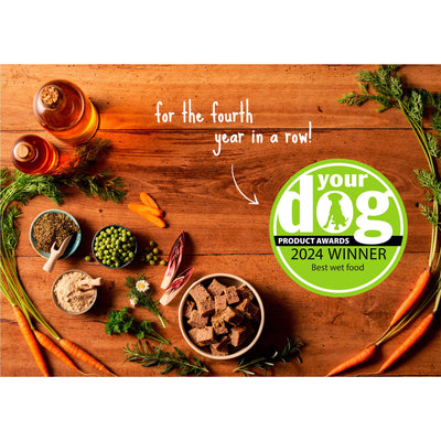 Forthglade Adult GF Comp Salmon Potato & Veg 395g