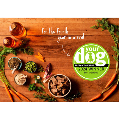 Forthglade Adult GF Comp Sardines Sweet Potato & Veg 395g