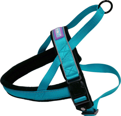 Dog & Co Nylon Norwegian Harness Reflective Aqua Lge