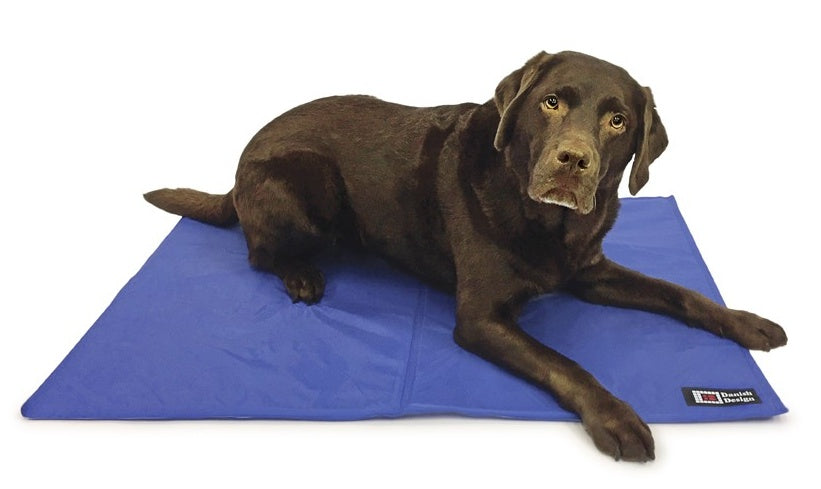 Cooling Mattress Medium 50x90cm