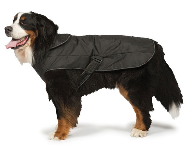 2 In 1 Ultimate Black Harness dog Coat 40cm