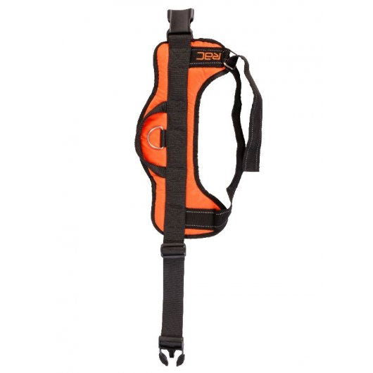 RAC Advanced Walking Harness - Small