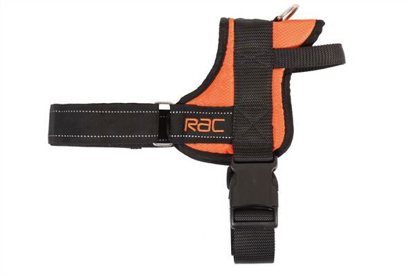 RAC Advanced Walking Harness - Medium