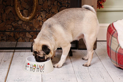 Festive Ho-ho-ho Cat Bowl