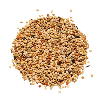 Countrywide Deluxe Tropical Foreign Finch 20kg