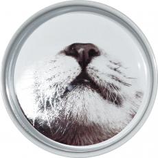 Ministry Of Pets Ceramic Cat Feeding Bowl