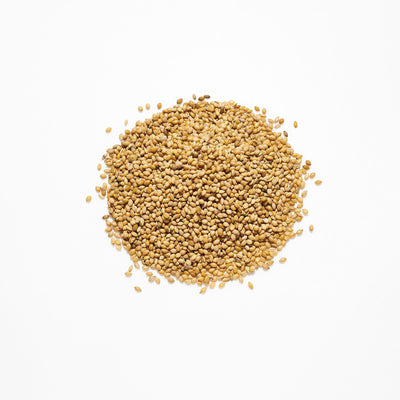 Countrywide Panicum Millet Seed 20kg