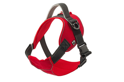 Extreme Harness Red Small 51-67cm