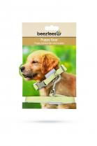 Beeztees Puppy Set Collar & Lead Yellow