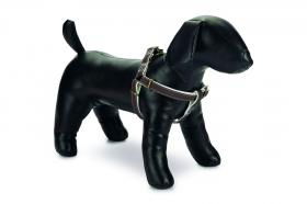 Designed By Lotte Harness Virante Brown 10mm X26-40cm