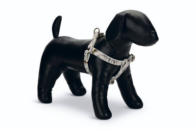 Designed By Lotte Harness Oribo Beige 20mm X46-75cm