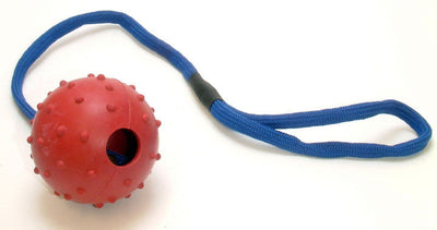 Good Boy Ball On A Rope 65mm (2.5")