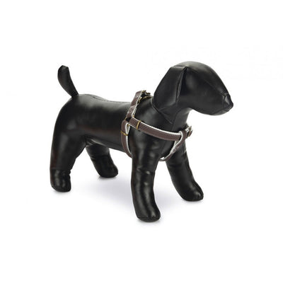 Designed By Lotte Harness Virante Brown 15mm X35-60cm