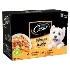 CESAR Deliciously Fresh Dog Food Pouch Mixed Selection in Jelly 12 x 100g