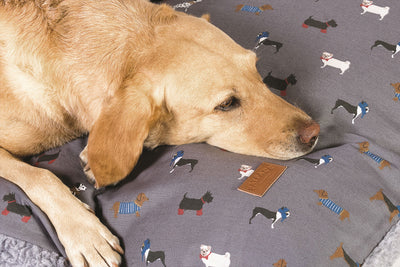 Fatface Marching Dogs Deep Duvet Medium