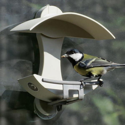The Nuttery Classic Window Wild Bird Feeder