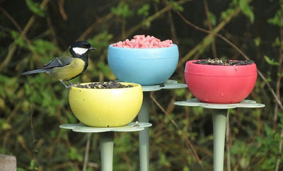 The Nuttery Pod Wild Bird Feeder - 3pack