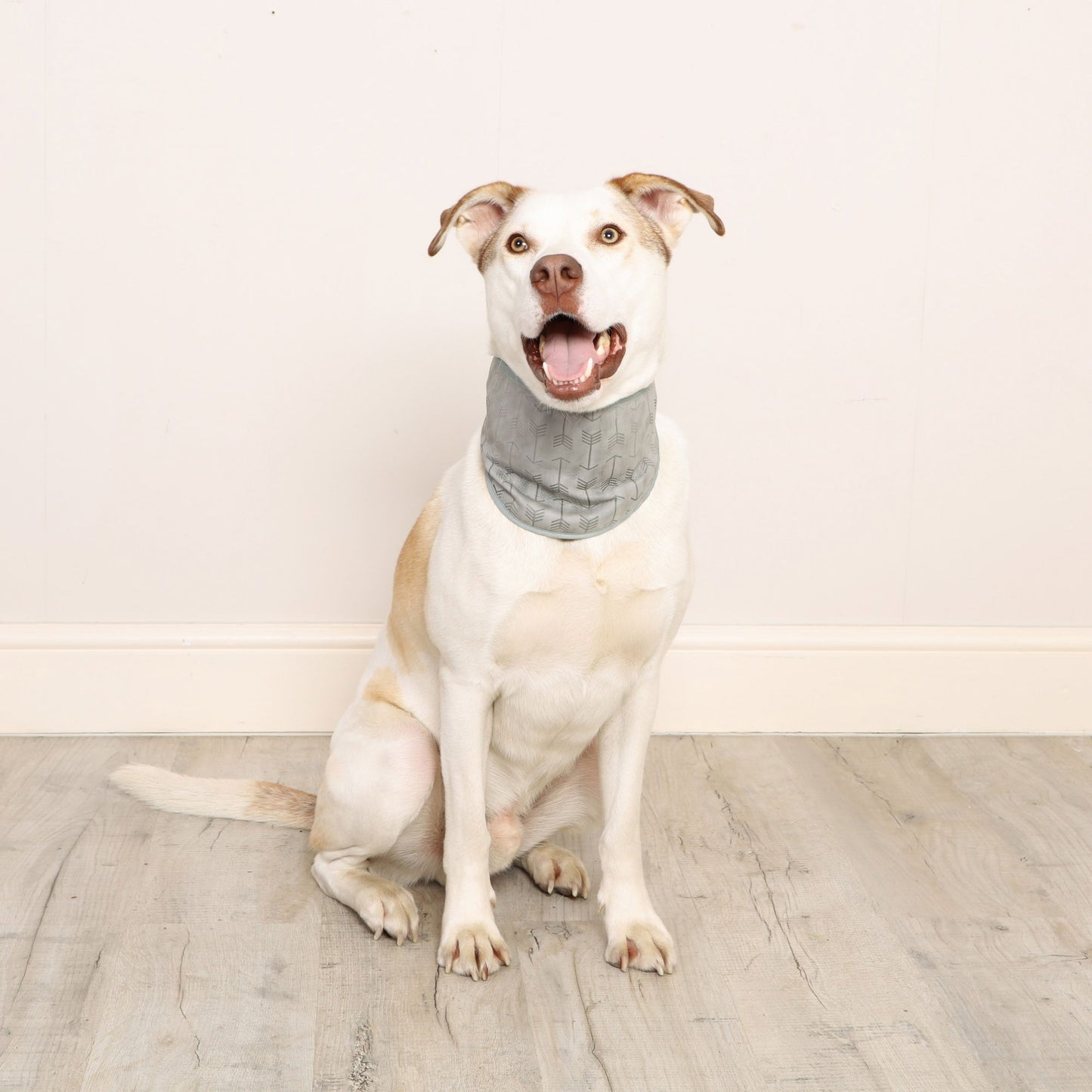 Cooling Bandana Large/Xlarge