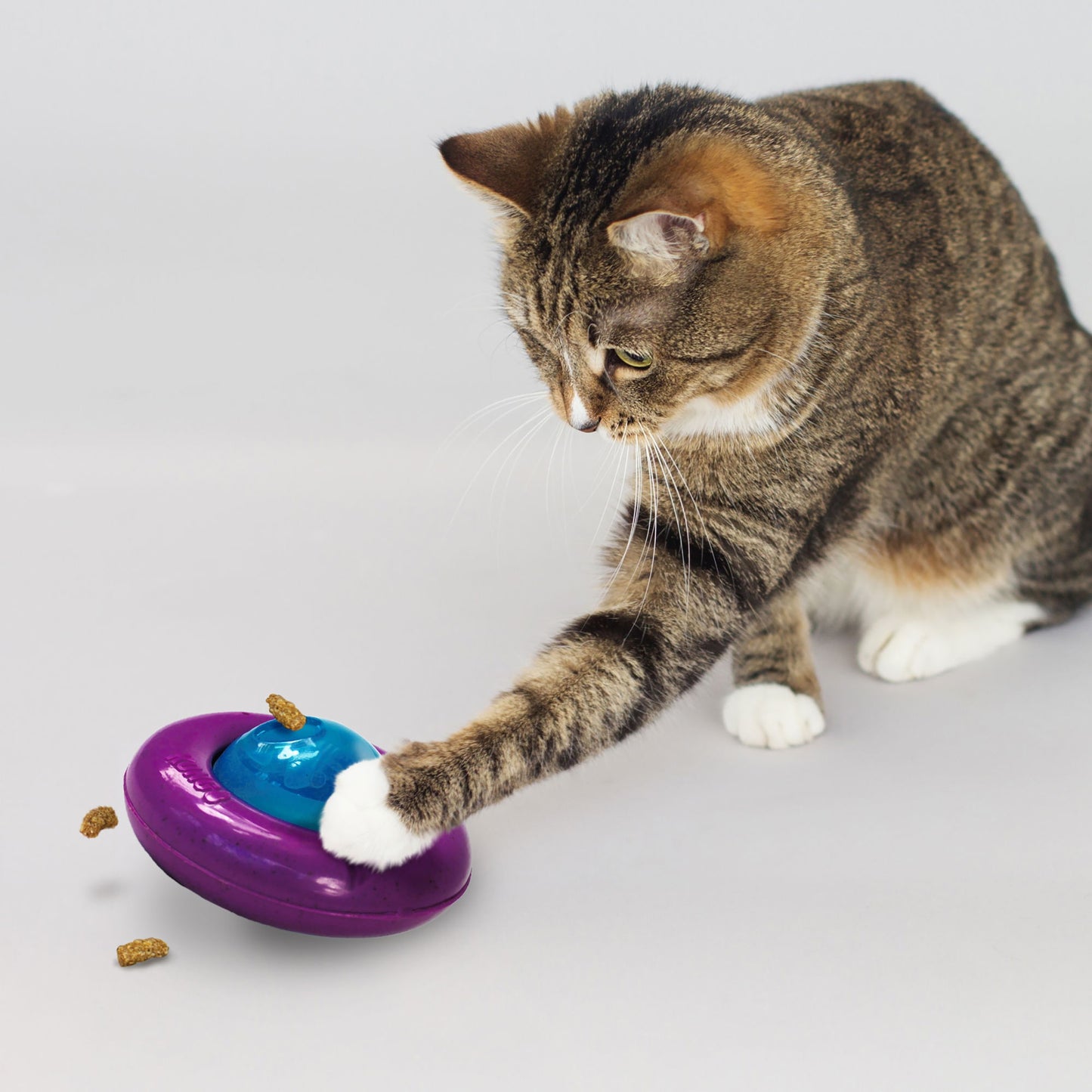 KONG Infused™ Cat Gyro