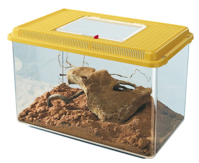 Geo Plastic Tank Maxi Mixed Colours 41.3x26x29.8cm