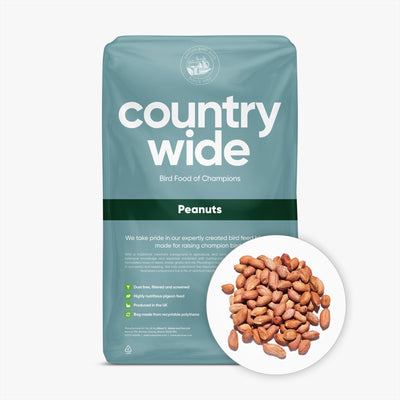 Countrywide Peanuts 20kg
