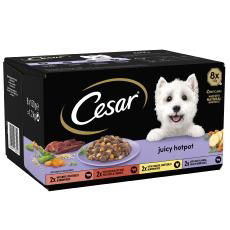 CESAR Juicy Hotpot Adult Wet Dog Food Trays Mixed in Gravy 8 x 150g