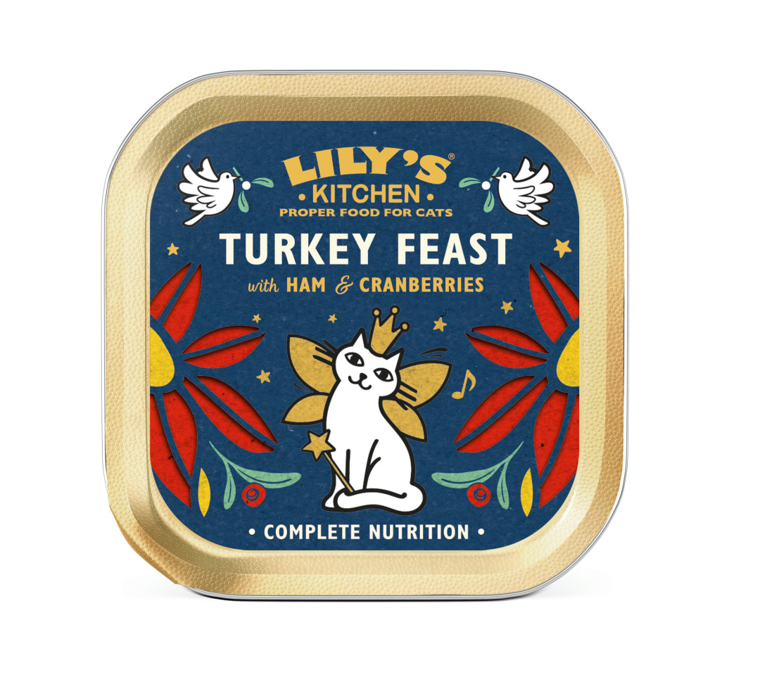 Lily's Kitchen Dog Treat Christmas Turkey Jerky 70g