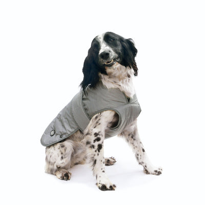 Muddy Paws Ultimate Reflective Coat Xtra Small