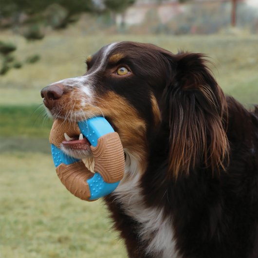 KONG Corestrength™ Bamboo Bone Large