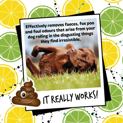 Bugalugs Stinky Dog Shampoo 250ml