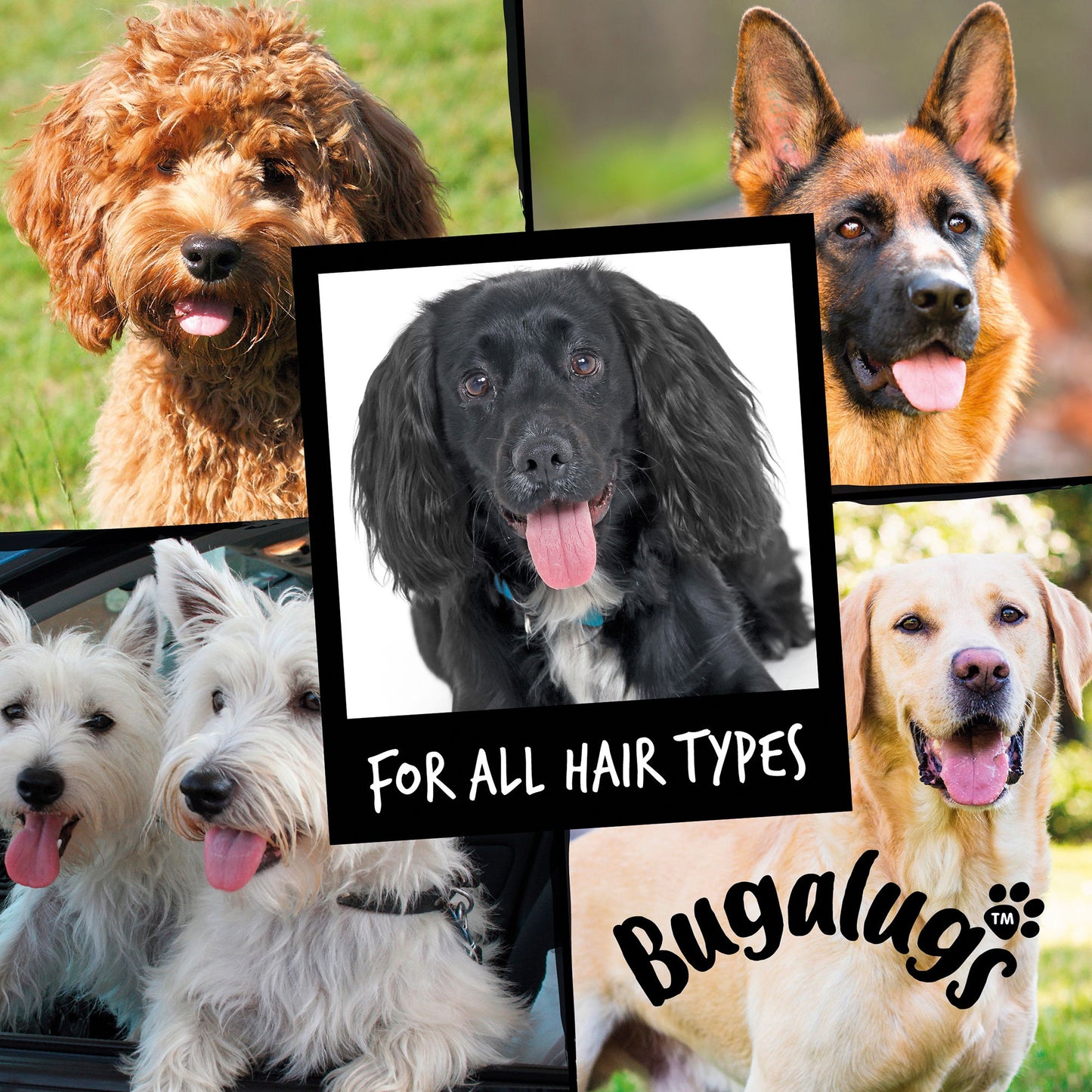 Bugalugs Stinky Dog Shampoo 250ml