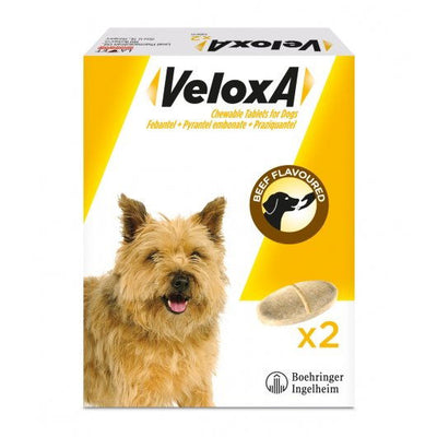 Veloxa Worming Tablets For Dogs 2 Pack