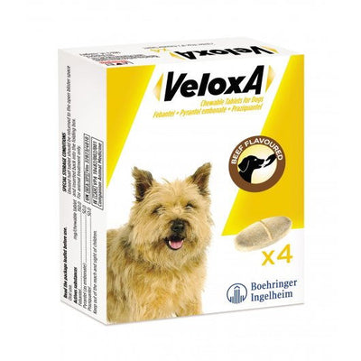 Veloxa Worming Tablets For Dogs 4 Pack