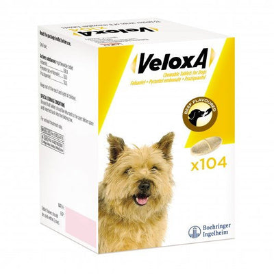 Veloxa Worming Tablets For Dogs 104 Pack