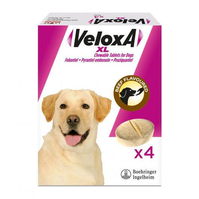 Veloxa Worming Tablets For Xl Dogs 4 Pack