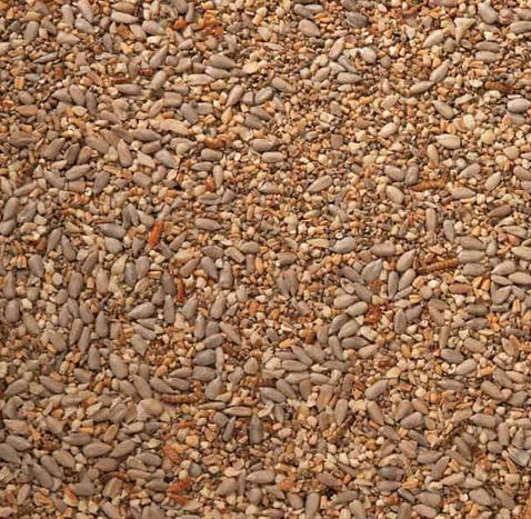 J&j Robin Mix With Insects 2kg