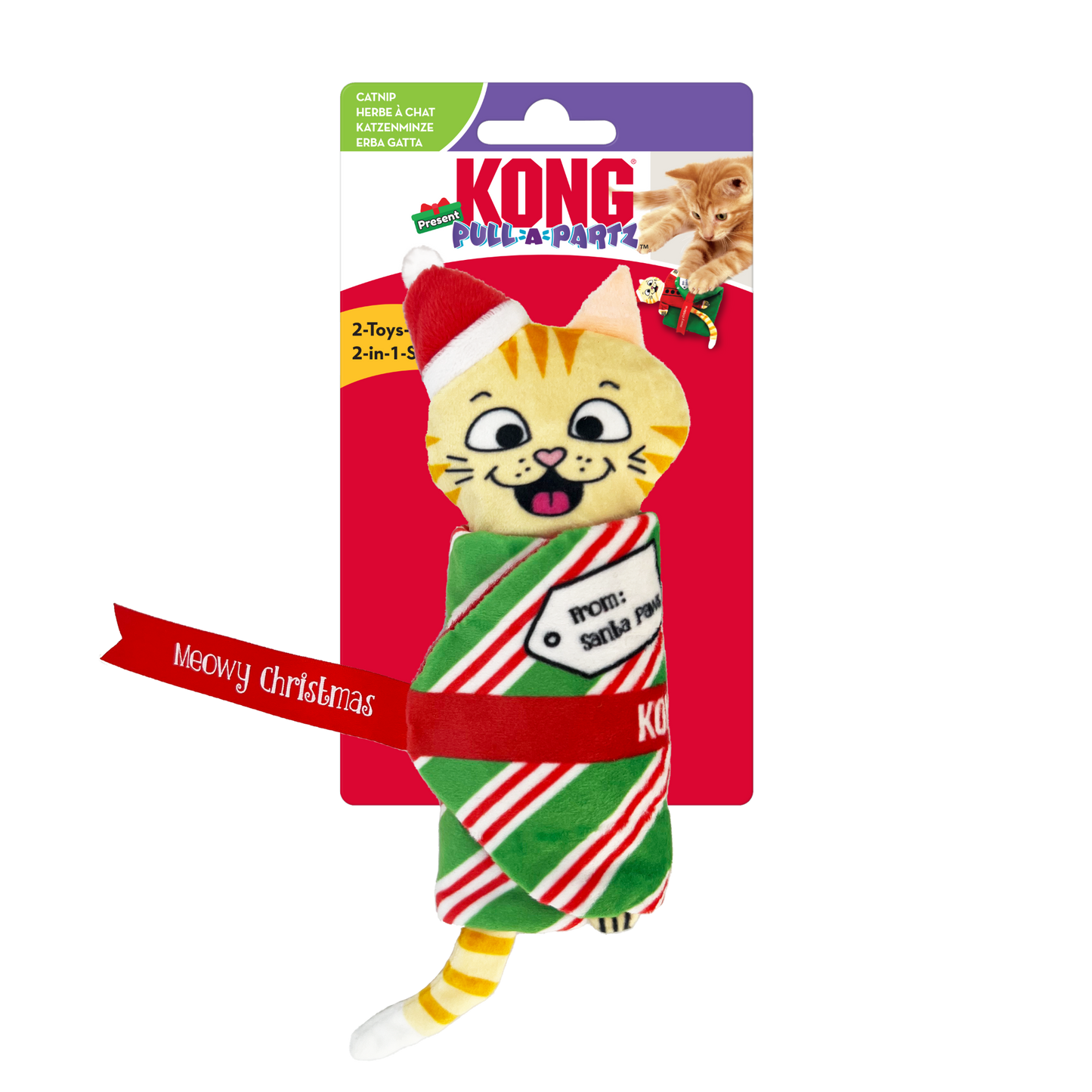 KONG Holiday Pull-a-partz™ Present